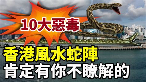 香港 蛇陣 聚寶盆製作